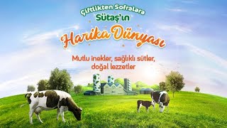 Çiftlikten Sofralara Sütaş’ın Harika Dünyası [upl. by Acirea]