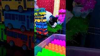 Tayo the Little Bus toys tayo [upl. by Aihsenat671]