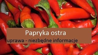 Papryka ostra  uprawa [upl. by Yelyak]