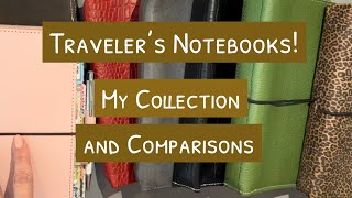 Planner Perfect Traveler’s Notebooks Up Close [upl. by Dragone]