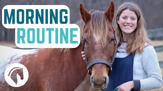 Winter Morning Routine of an Equestrian [upl. by Jonathon171]