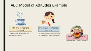 ABC Model of Attitudes [upl. by Ailadgim]