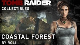 Tomb Raider 2013 100 Walkthrough  Coastal Forest Collectibles [upl. by Eeima316]