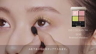 ルナソル LUNASOL EYE COLORATION EX38 How To Use [upl. by Walsh874]