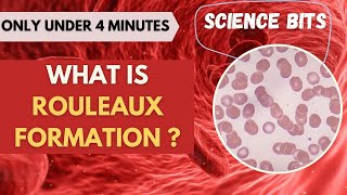 Science Bits What is Rouleaux formation  Under 4 Minutes [upl. by Smalley]