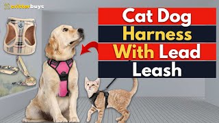 Cat Harness with Lead Leash Adjustable Vest Polyester Mesh Breathable Harnesses  Top Pet Products [upl. by Chrisoula]