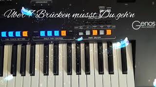 Über 7 Brücken musst Du gehn  Peter Maffay Karat Cover by Yamaha Genos Keyboard Melodies [upl. by Helban]