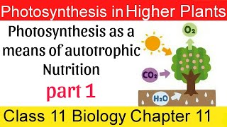 01 Photosynthesis as a means of autotrophic Nutrition in bengali [upl. by Jaella309]