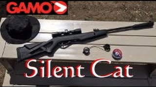 Gamo Silent Cat 177 cal Air Rifle with 4x32mm Scope [upl. by Kinson]