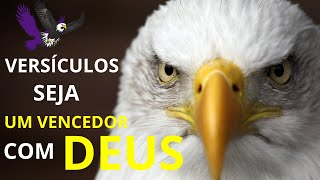 SEJA UM VENCEDOR COM DEUS  PALAVRA DE DEUS SOBRE A ÁGUIA [upl. by Crooks]