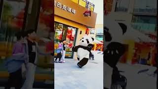 🐼 panda funny video shorts short yt ytshorts panda pandalover funny cute bear babyshorts [upl. by Rida477]