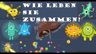 🤢Gute und schlechte Bakterien😇😈 Wie leben sie zusammen [upl. by Nnorahs981]