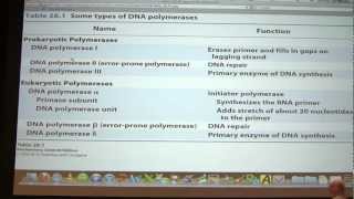 43 Biochemistry DNA Replication III Lecture for Kevin Aherns BB 451551 [upl. by Hooper]