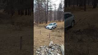 How to get car out of mud ditch  Offroading in Terelj National Park Mongolia منگولیا [upl. by Biddy613]