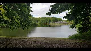 Das Haus am See in Köln  Hürth  La Casa sul Lago DJI DROHNE EDITION Curcio fly [upl. by Ardiekal]