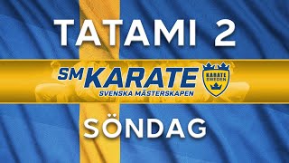 Tatami 2 TV Svenska Mästerskapen Karate 2024  Söndag [upl. by Otiragram]