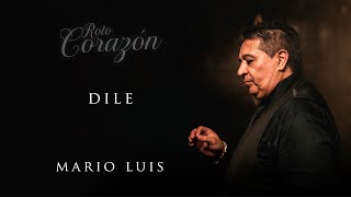 Mario Luis  Dile Audio Oficial [upl. by Anigroeg]