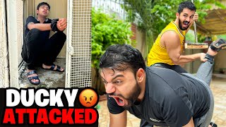 Ducky Attacked at our house😡Muneeb ko Ly k Farrar😑 [upl. by Veradi662]