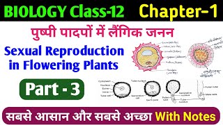 Microsporogenesis amp Microspore Structure  12th biology sexual reproduction in flowering plant [upl. by Zanze365]