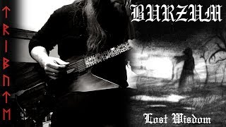 Tribute To Burzum  Lost Wisdom [upl. by Sheffie]