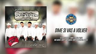 Los Dominantes del Norte  Dime Si Vas A Volver  Audio Oficial [upl. by Palmer]