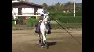 Javier de Juana  Garrocha y Dressage [upl. by Rogerson]