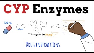 CYP450 Enzymes Drug Interactions MADE EASY in 5 MINS [upl. by Wiltshire]