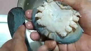 সী ফুড কাঁকড়া কুটার সঠিক নিয়ম Seafood cook for taste [upl. by Nahtanhoj]