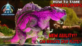 Ark Survival Ascended  How To Tame Morellatops  Scorched earth exclusive New ability [upl. by Dralliw]