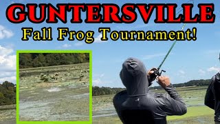 Fall Bass Fishing GUNTERSVILLE Frog Tournament [upl. by Doykos683]