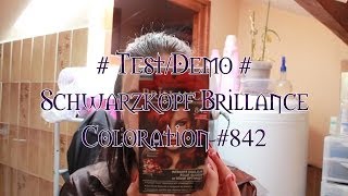 Méliane  TestDémo Schwarzkopf Brillance Coloration 842 [upl. by Enrika]