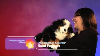 Folkmanis® Bernese Mountain Dog Puppet Demo  Retired [upl. by Onfre851]