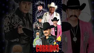 puros corridos de alto calibre puros perrones [upl. by Meridel]