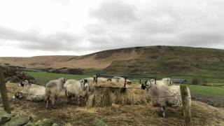 Standedge Trail Heritage Walk Marsden [upl. by Arracat33]