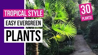 30 easy evergreen plants for tropical style garden  Tropical Tribe [upl. by Tenaj767]