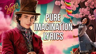 Pure Imagination Lyrics From quotWonkaquot Timothée Chalamet [upl. by Nitfa]