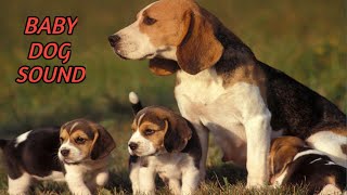 Baby Dog Sounds  Baby Dog Video Clips [upl. by Ewolram]