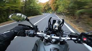 Yamaha Tenere 700 2023  RAW Sound  In the twisties [upl. by Annaiel]