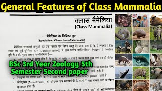 General Characteristics of Class Mammalia  BSc 3rd year Zoology 5th Semester 2nd Paper [upl. by Melan]