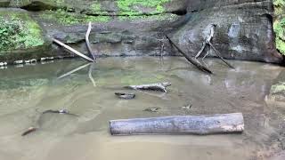 Starved Rock State Park IL [upl. by Yenruoj]