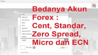 Bedanya Akun Forex Cent Standar Micro ECN amp Zero Spead [upl. by Alenson]