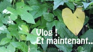 Vlog  Et maintenant [upl. by Nonnek317]