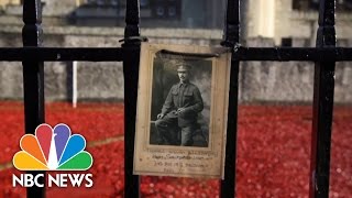 Armistice Day London Poppies Honor WWI Soldiers  NBC News [upl. by Abisha]