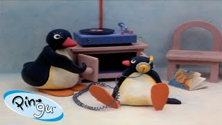 Best Episodes from Season 1  Pingu  Official Channel  Cartoons For Kids [upl. by Magna]