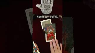 Your Message For Today  Timeless Tarot Card Reading tarot tarotreading short [upl. by Nomed]