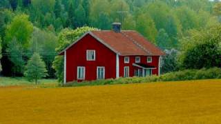 Swedish folk music  Triakel  Alla Gossar [upl. by Maurizio575]