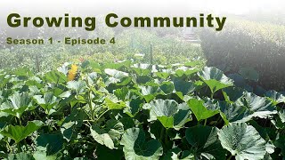 Urban Farm S1 Ep4 [upl. by Schilit]