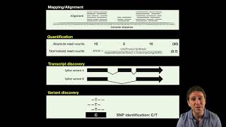 91 Differential Expression Analysis [upl. by Boar]