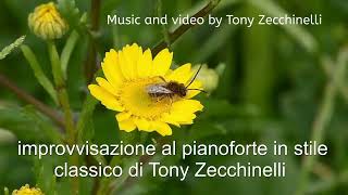 classic improvvisation pianoforte Musica By Tony Zecchinelli [upl. by Corabella]