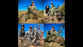 Ramos Hunts amp Video Lucky Seven Javelina Bowhunts [upl. by Susejedesoj]